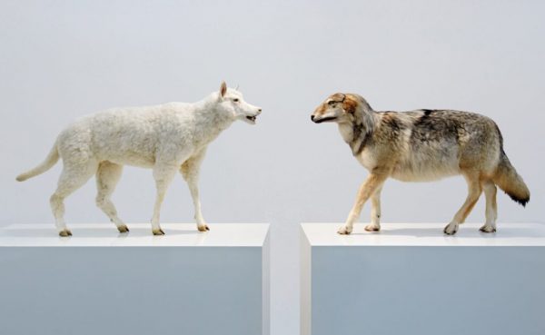 Museum Ostwall Timm Ulrichs ArtJunk
