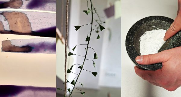 Künstler*innenhaus Dortmund Lina Kusaite ArtJunk