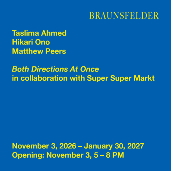 Braunsfelder Both Directions at Once ArtJunk